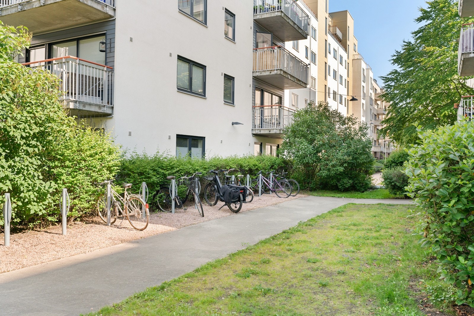 Pene fellesarelaer. Galleribilde