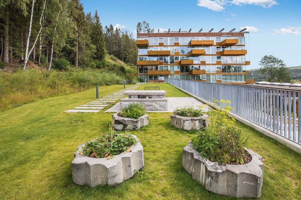 Nydelig felleshage med vekster Galleribilde