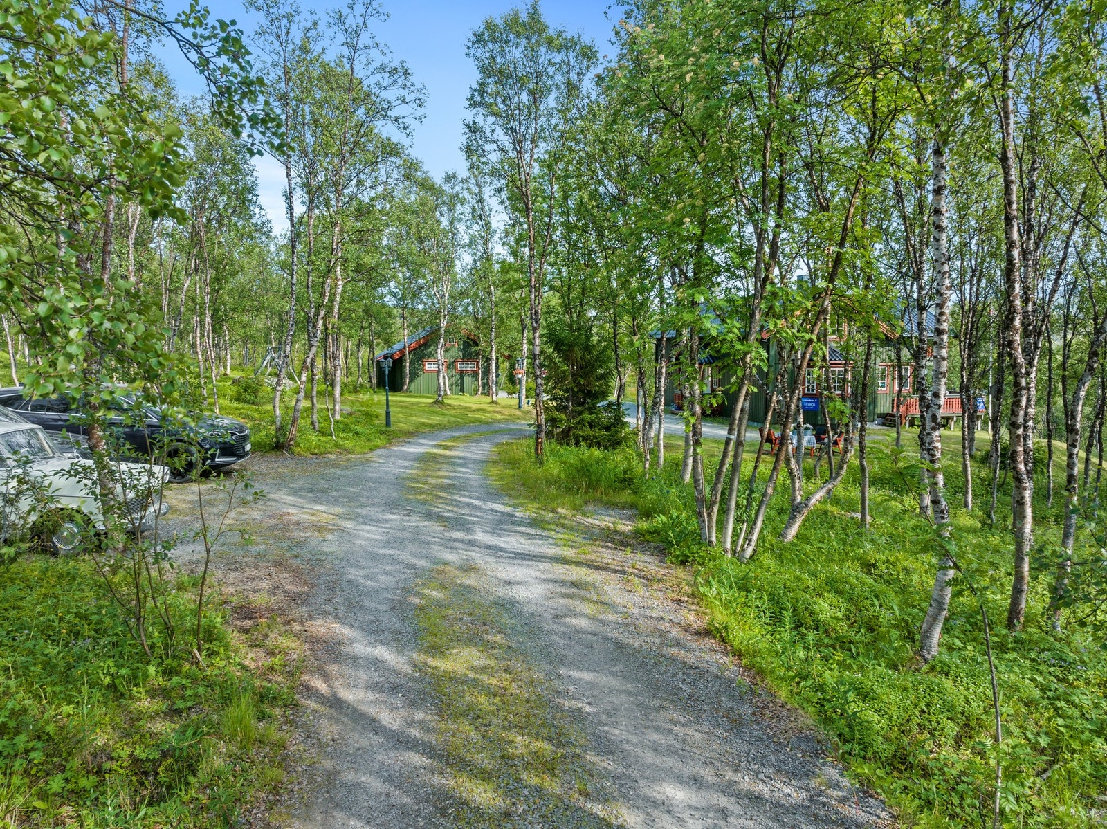 Vei inn til hytta Galleribilde