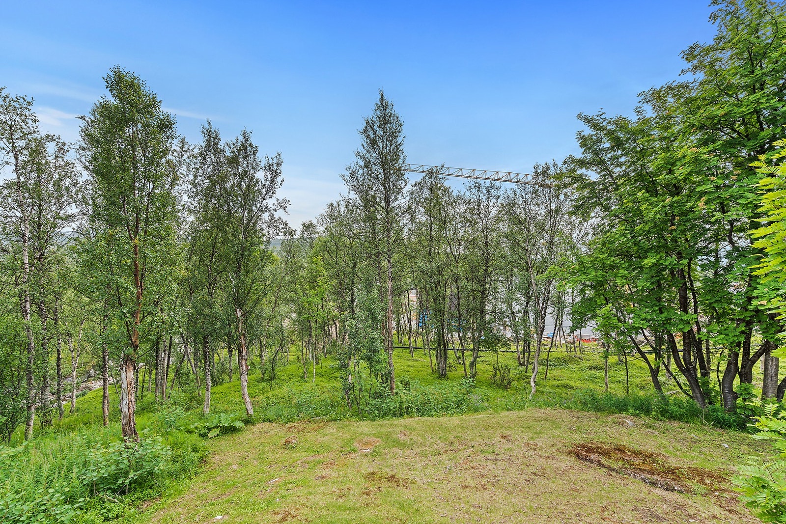 Utsyn fra hytta pr august 2025 Galleribilde