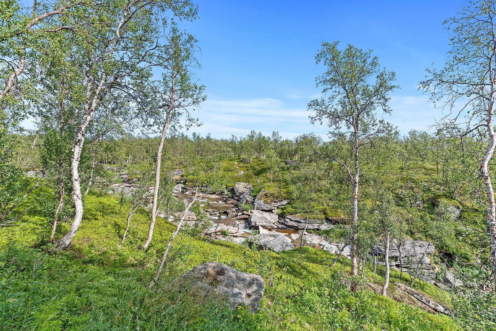 Elveleie like ved hytta Galleribilde