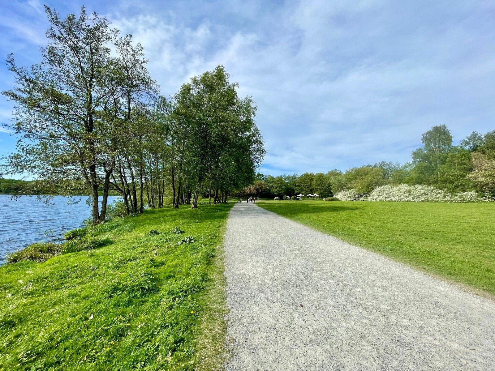Flotte turområder i nærområdet. Her fra Mosvatnet Galleribilde