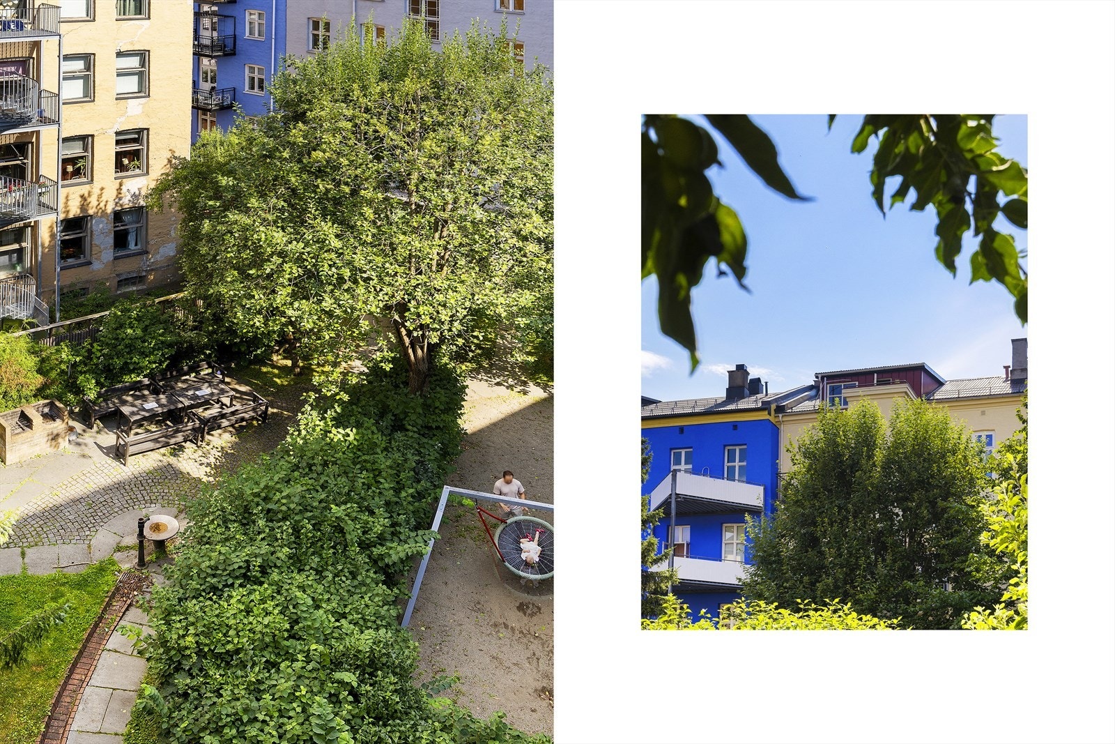 Trivelig utsyn over frodig og skjermet bakhage. Galleribilde