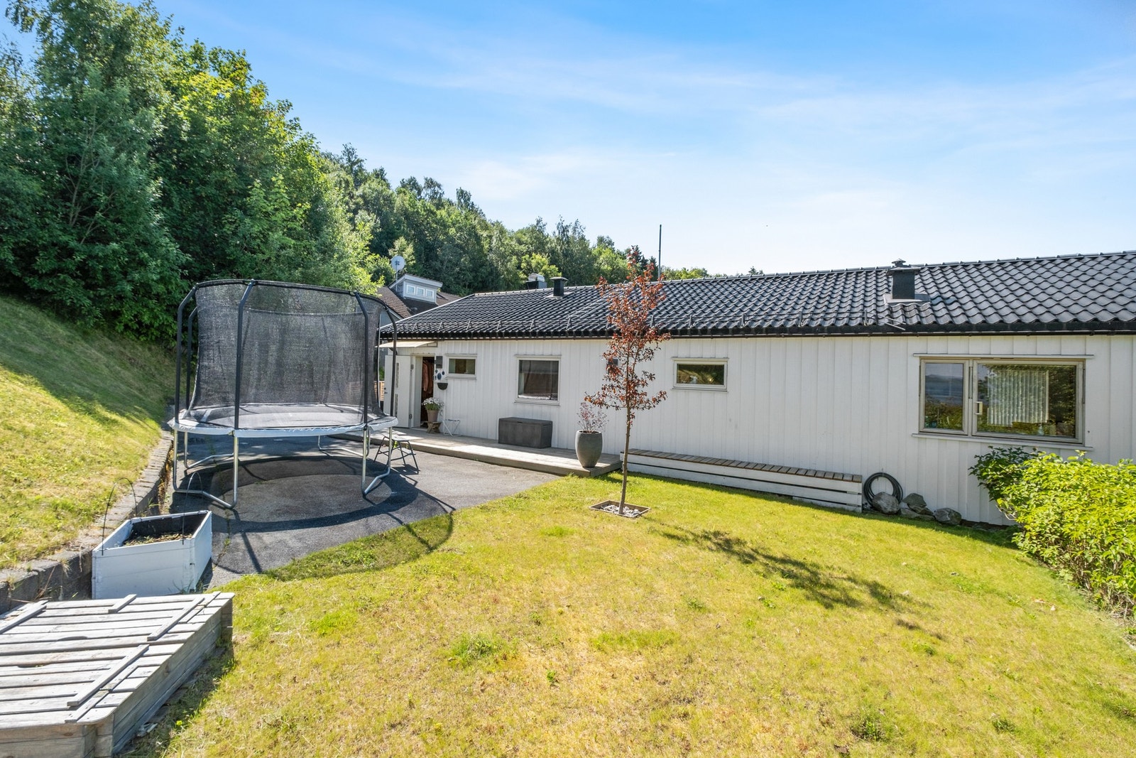 Pent opparbeidet plen. Galleribilde