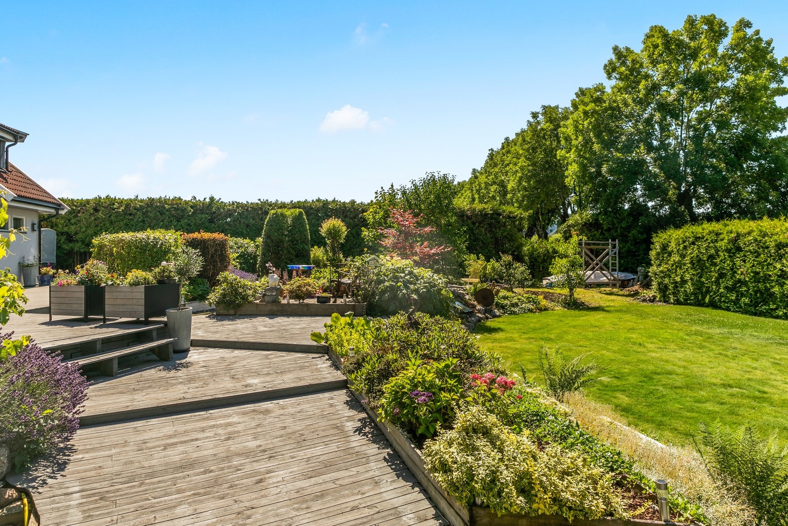 Tomten er et eldorado for hageelskere! Galleribilde