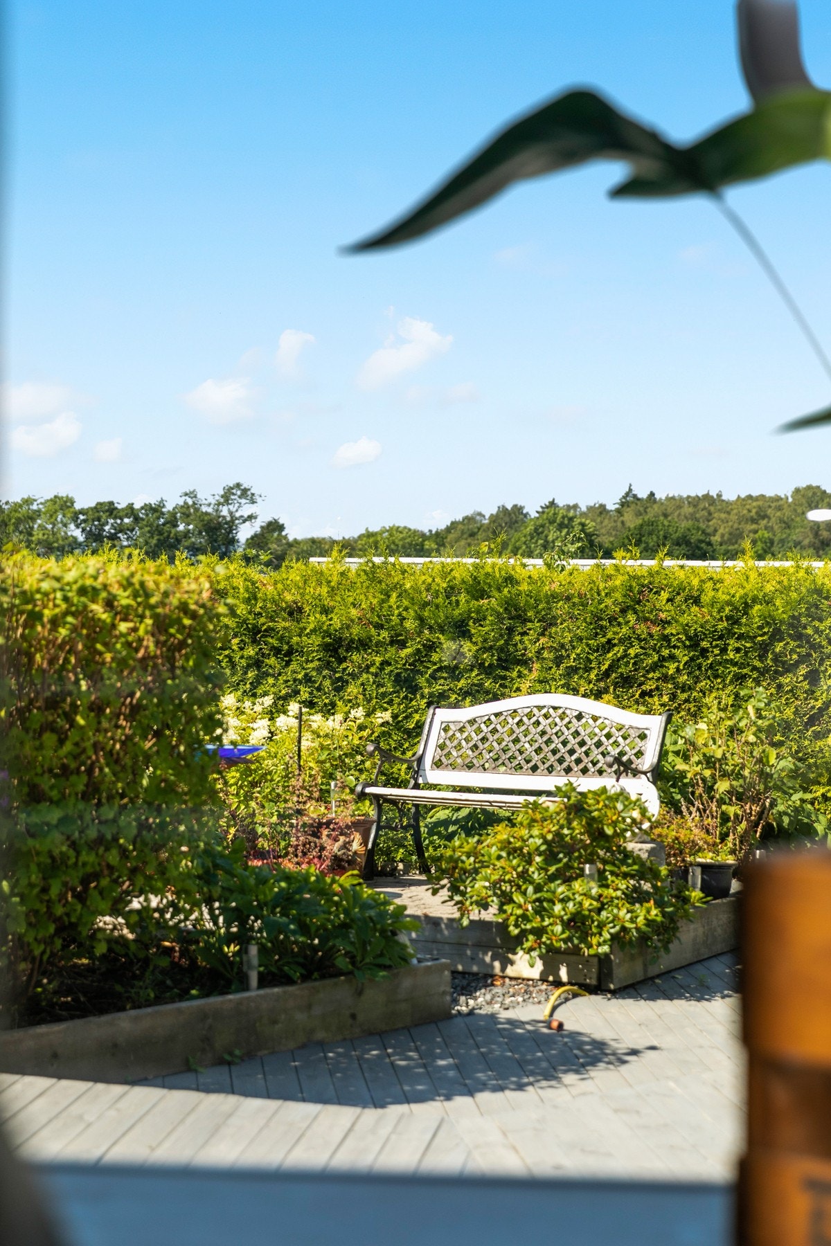 Hagen er stor, frodig og idyllisk - med flere solrike sitteplasser. Galleribilde