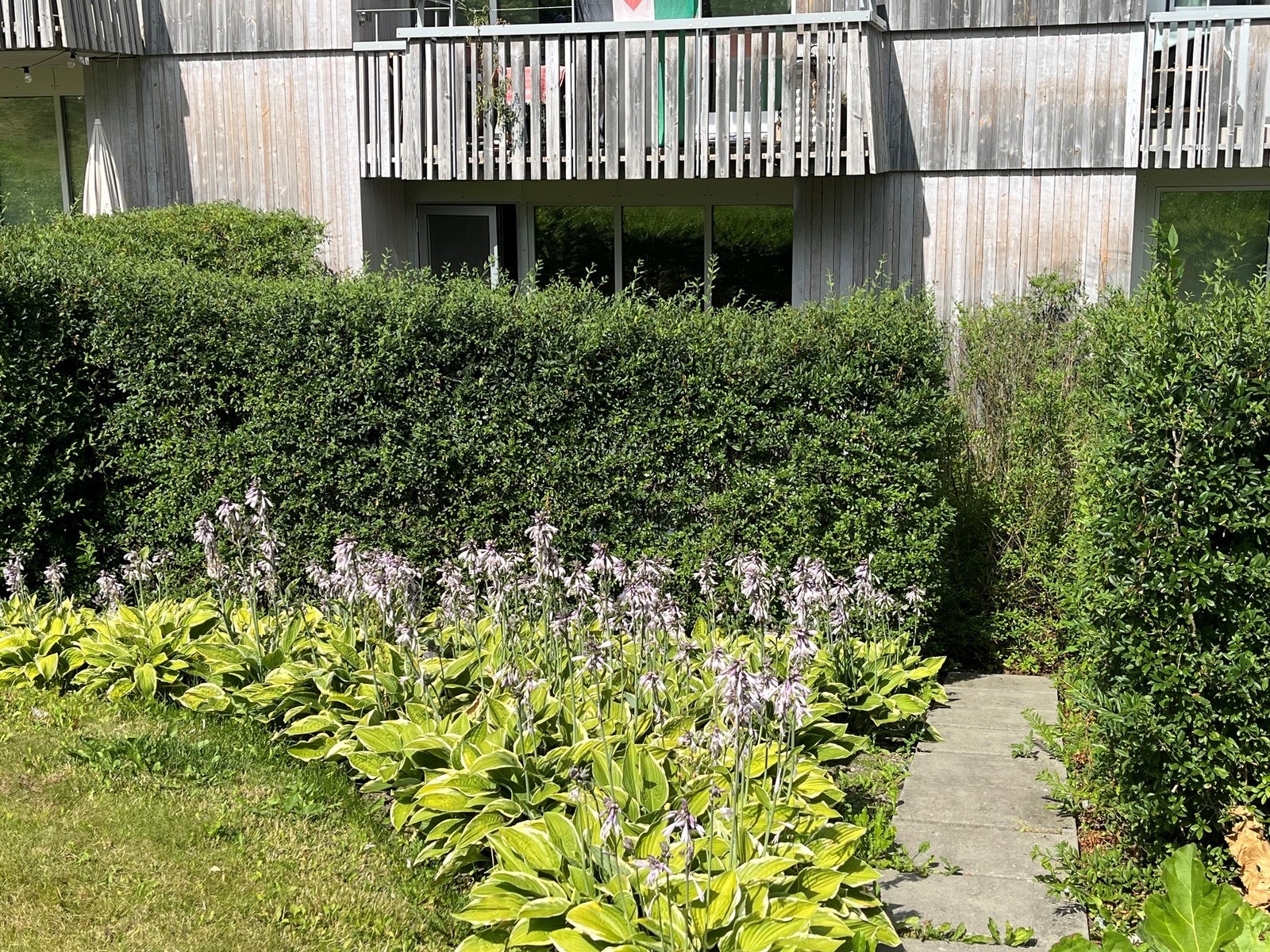 Godt skjermet for innsyn. Galleribilde