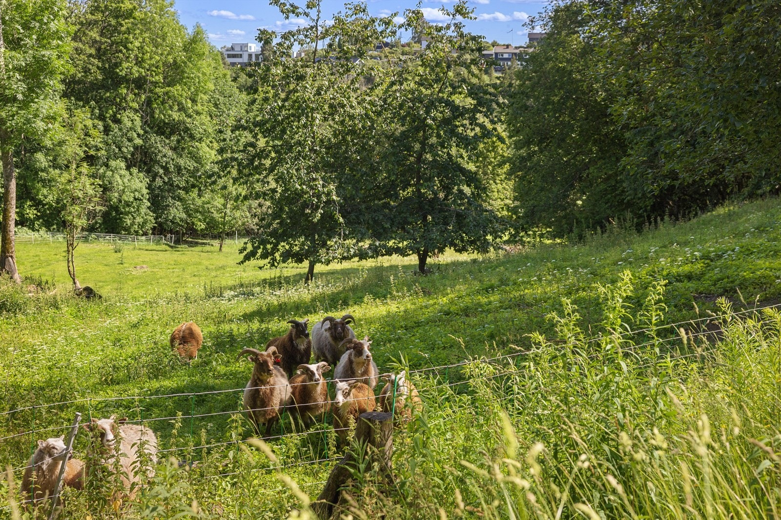Her bor du flott til på idylliske Båstad - i en frittliggende enebolig med barnevennlig og naturnær beliggenhet. Galleribilde