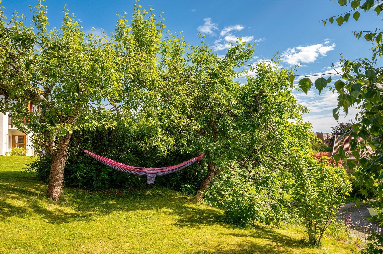 Hagen er lettstelt og har store plenområder og frukttrær. Galleribilde