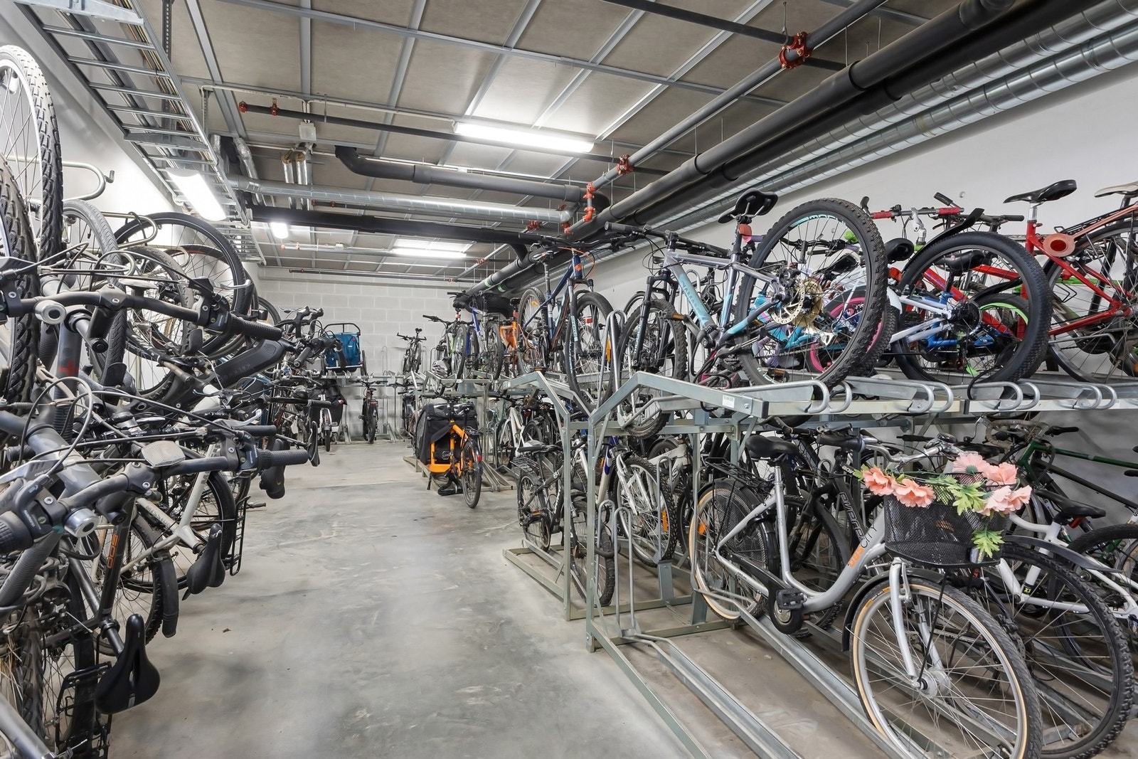 Innendørs sykkelparkering i kjelleren. Galleribilde