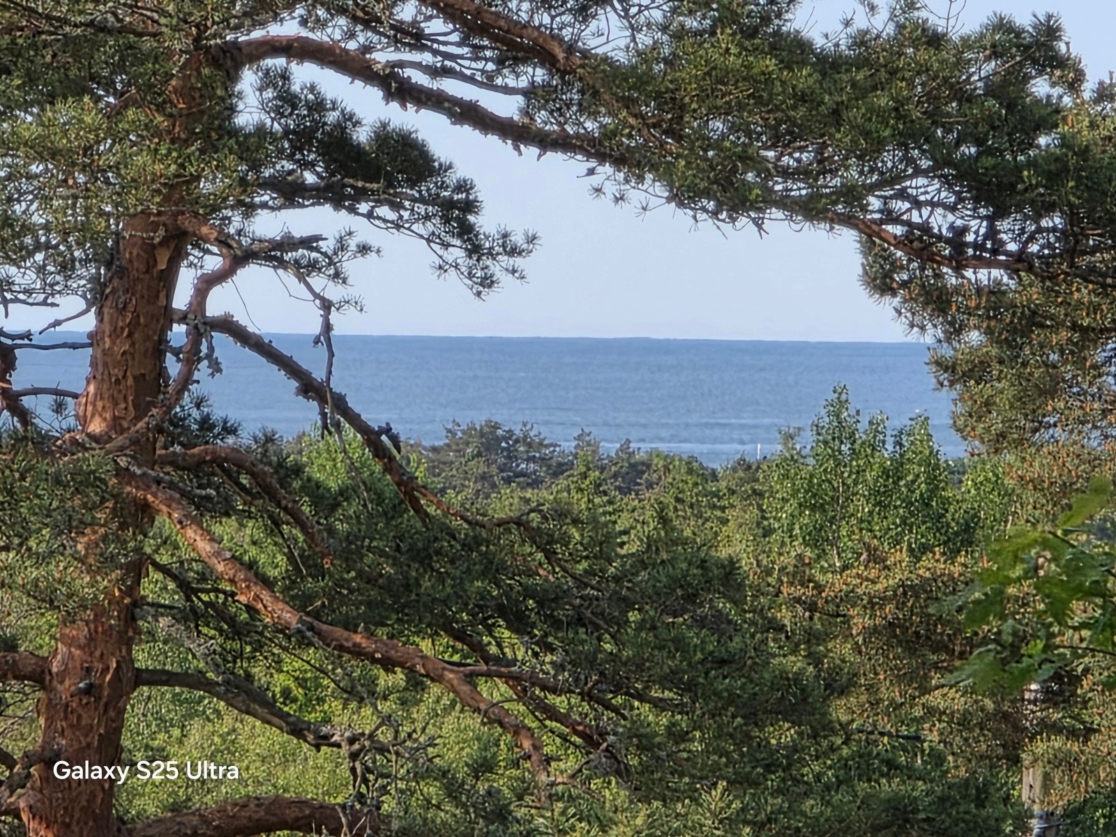 Havutsikten fra hytta Galleribilde