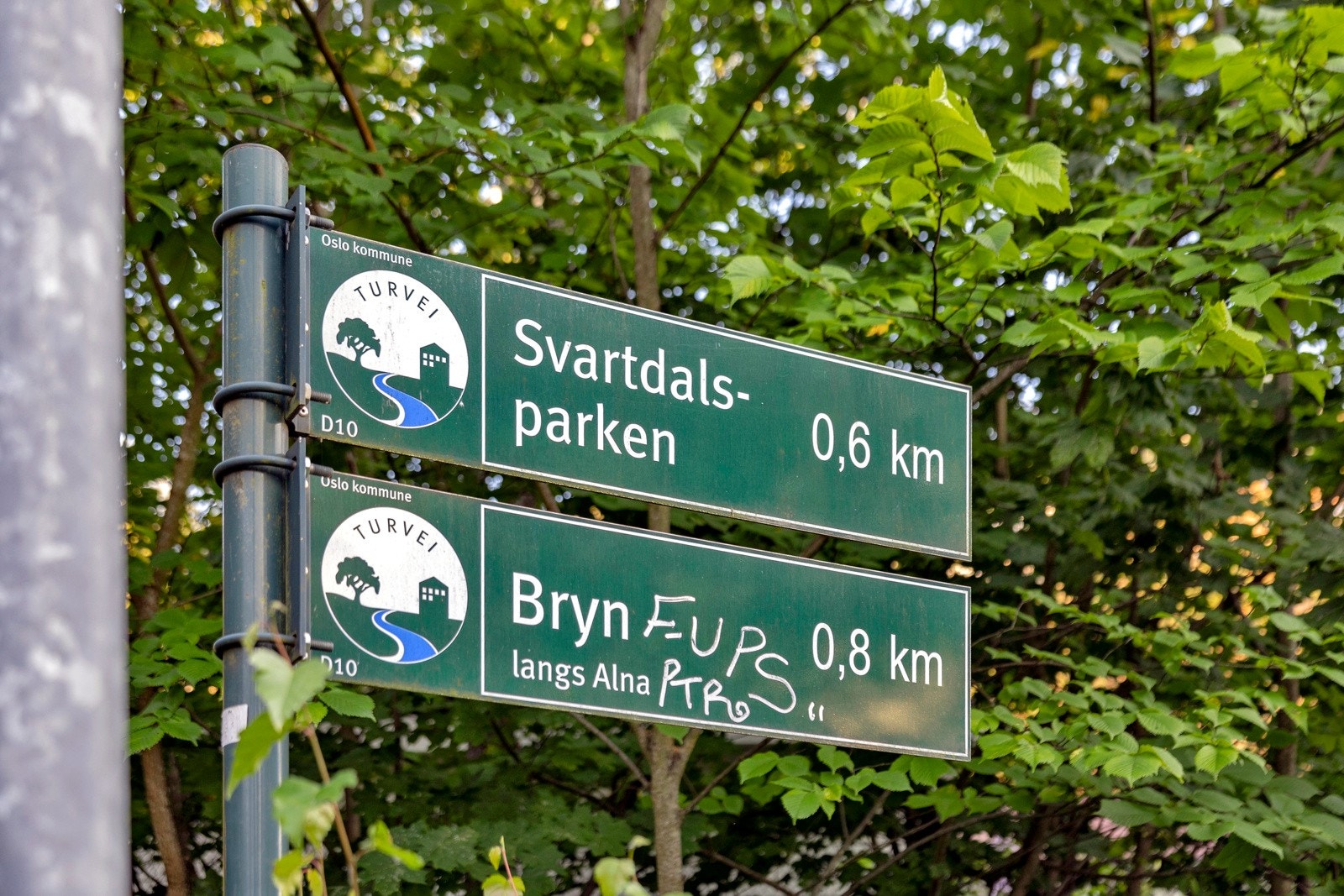 I nærområde ligger Alnastien og Svartdalsparken, en av byens eldste urskoger Galleribilde