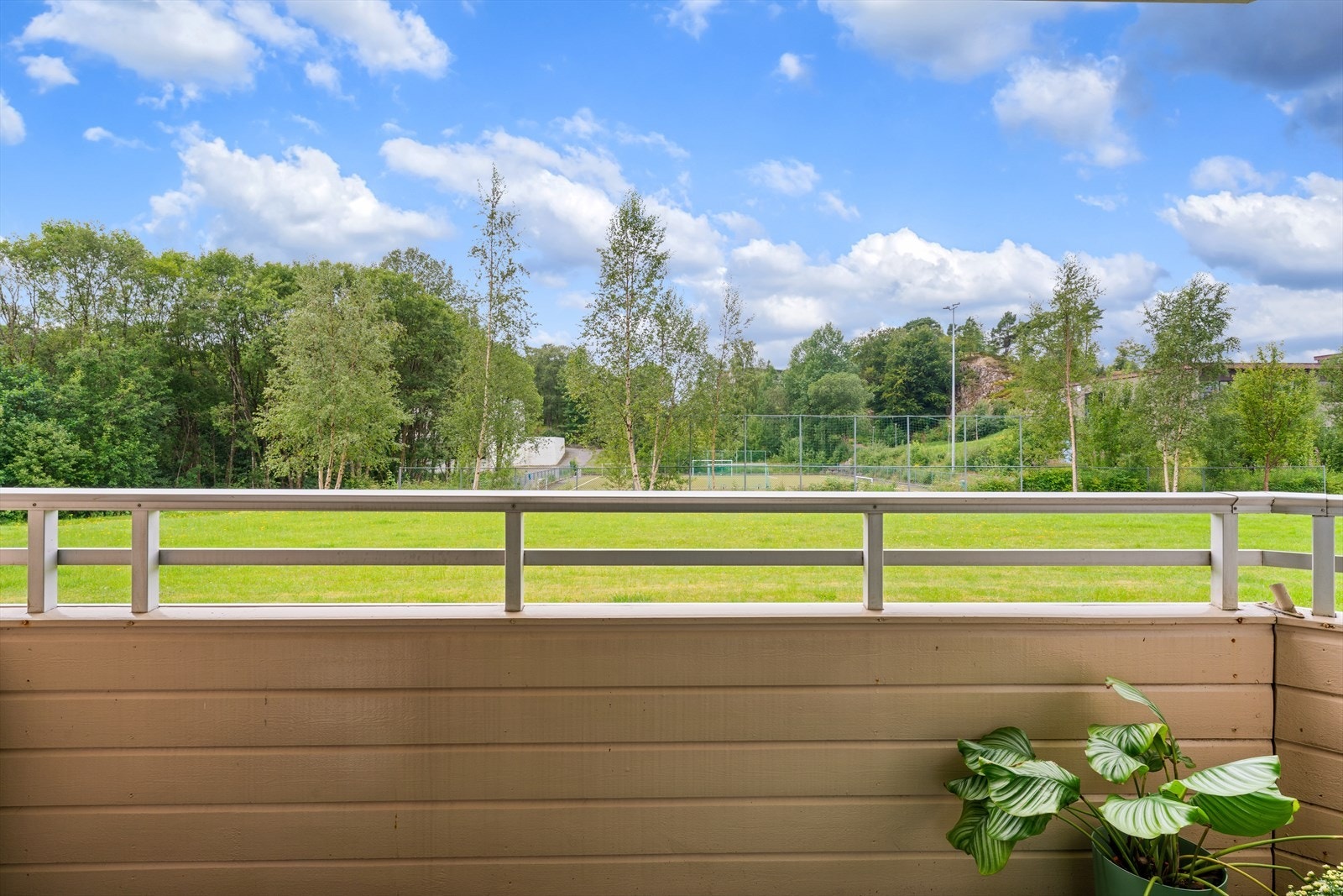 - Her kan du nyte de fine sommerdagene Bergen har å by på - Galleribilde