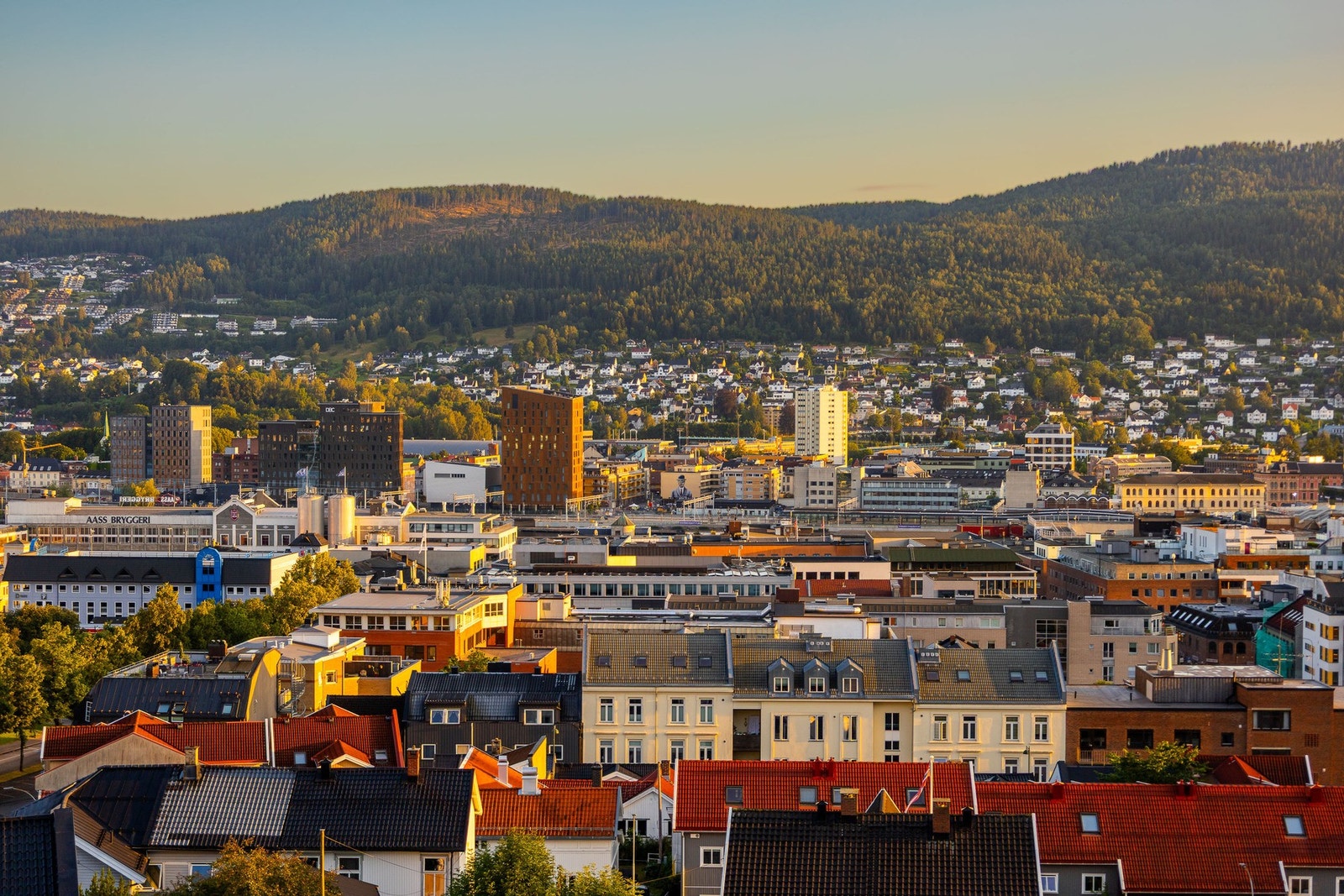 Utsikt mot Drammenselva. Galleribilde