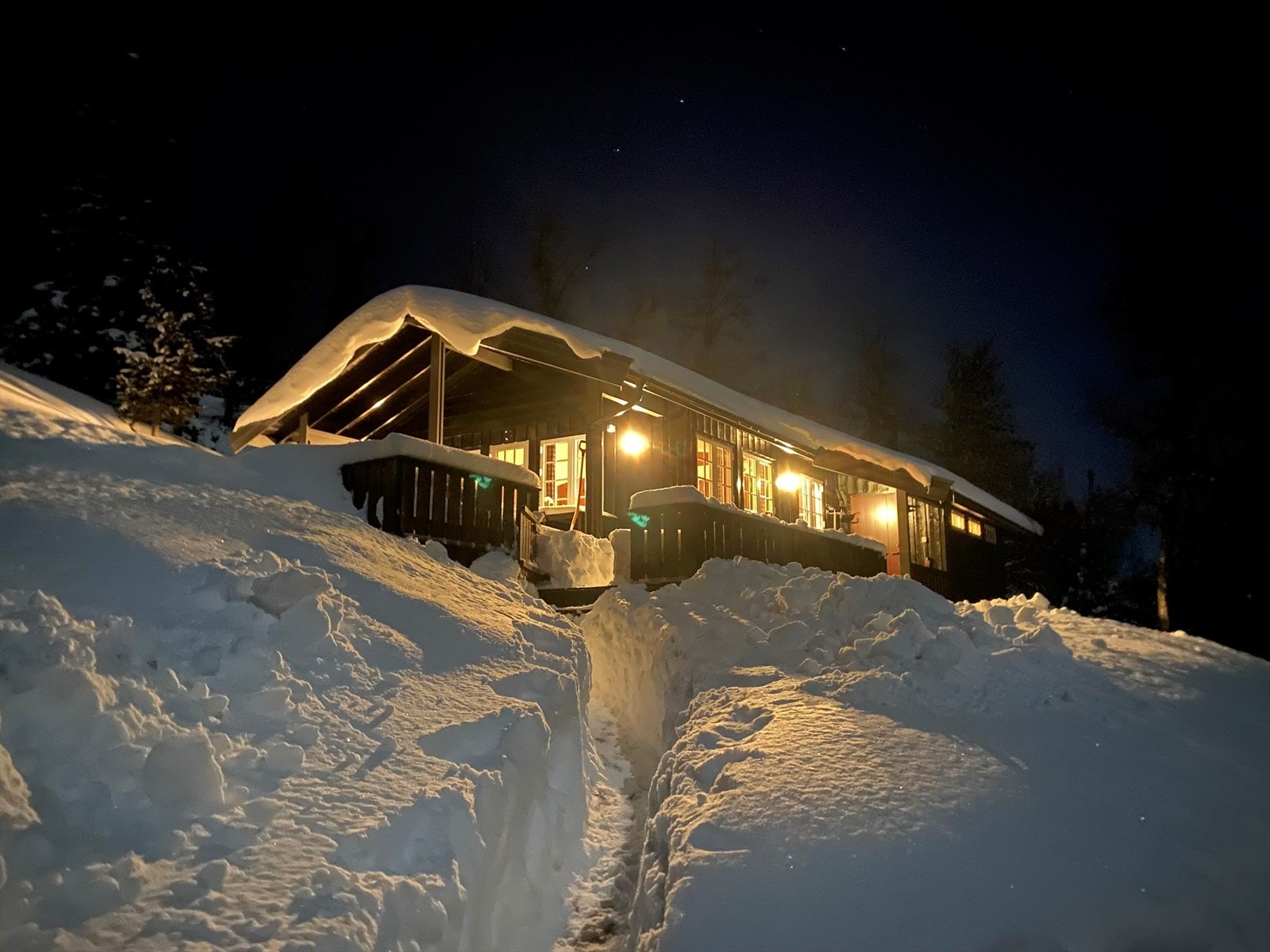 Selgers eget bilde Galleribilde