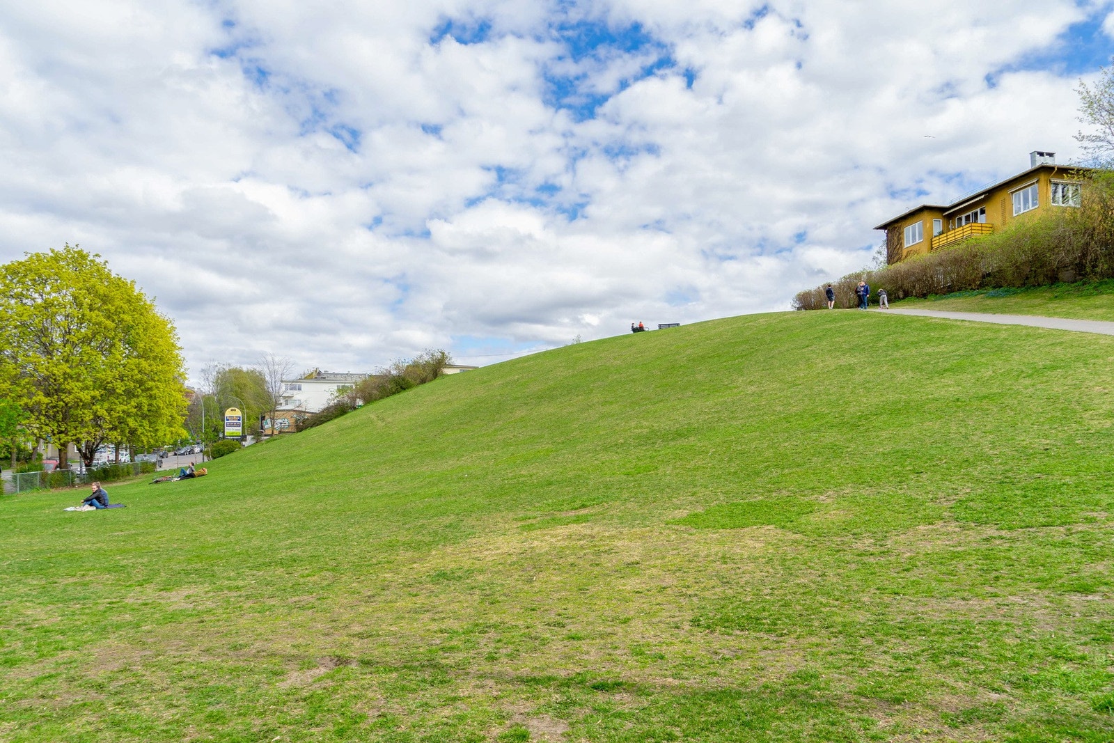Idioten som byr på grønne omgivelser. Galleribilde
