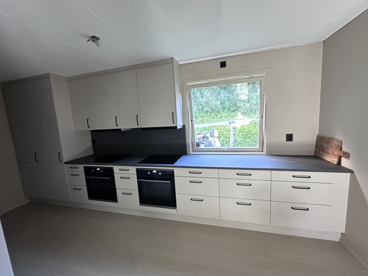 Kjøkken med dobbelt av alt, 2x stekeovn, platetopp, kjøleskap, fryseskap og oppvaskmaskiner. Galleribilde