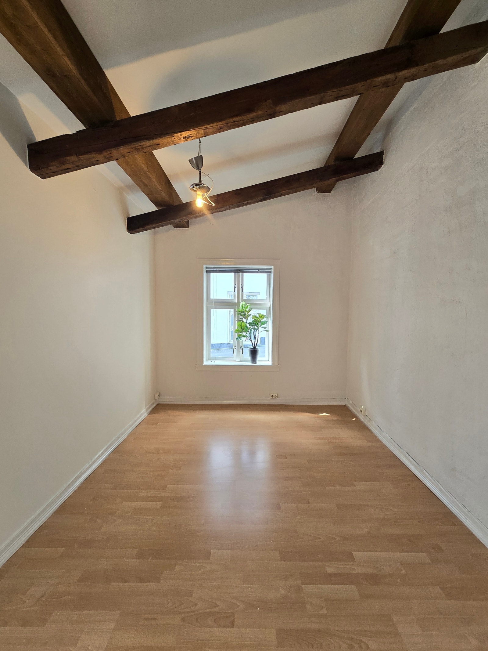 Sov 2 Galleribilde