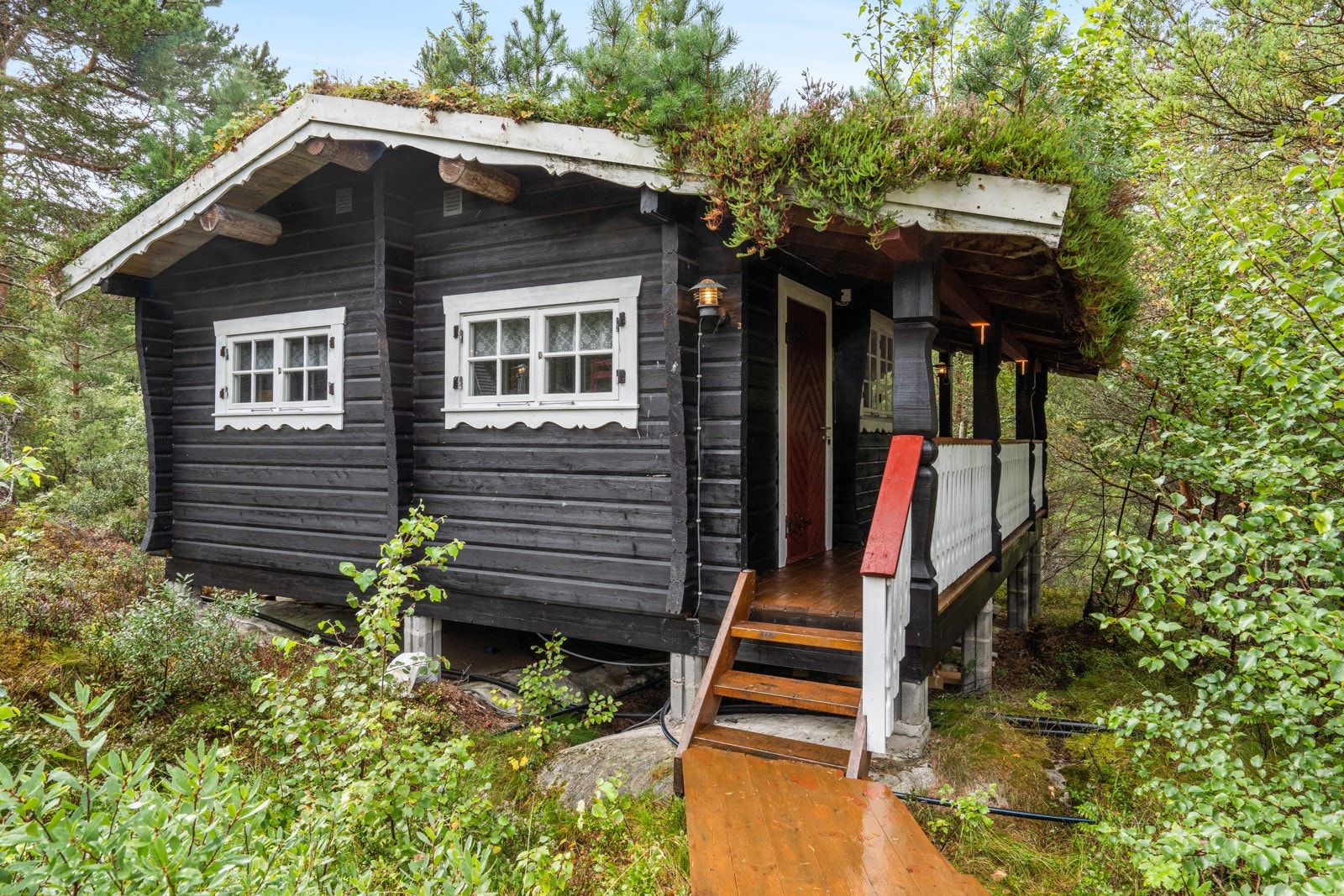 Laftehytte har torvtak, mørk kledning og en vinkelterrasse på ca. 16 kvm. Galleribilde
