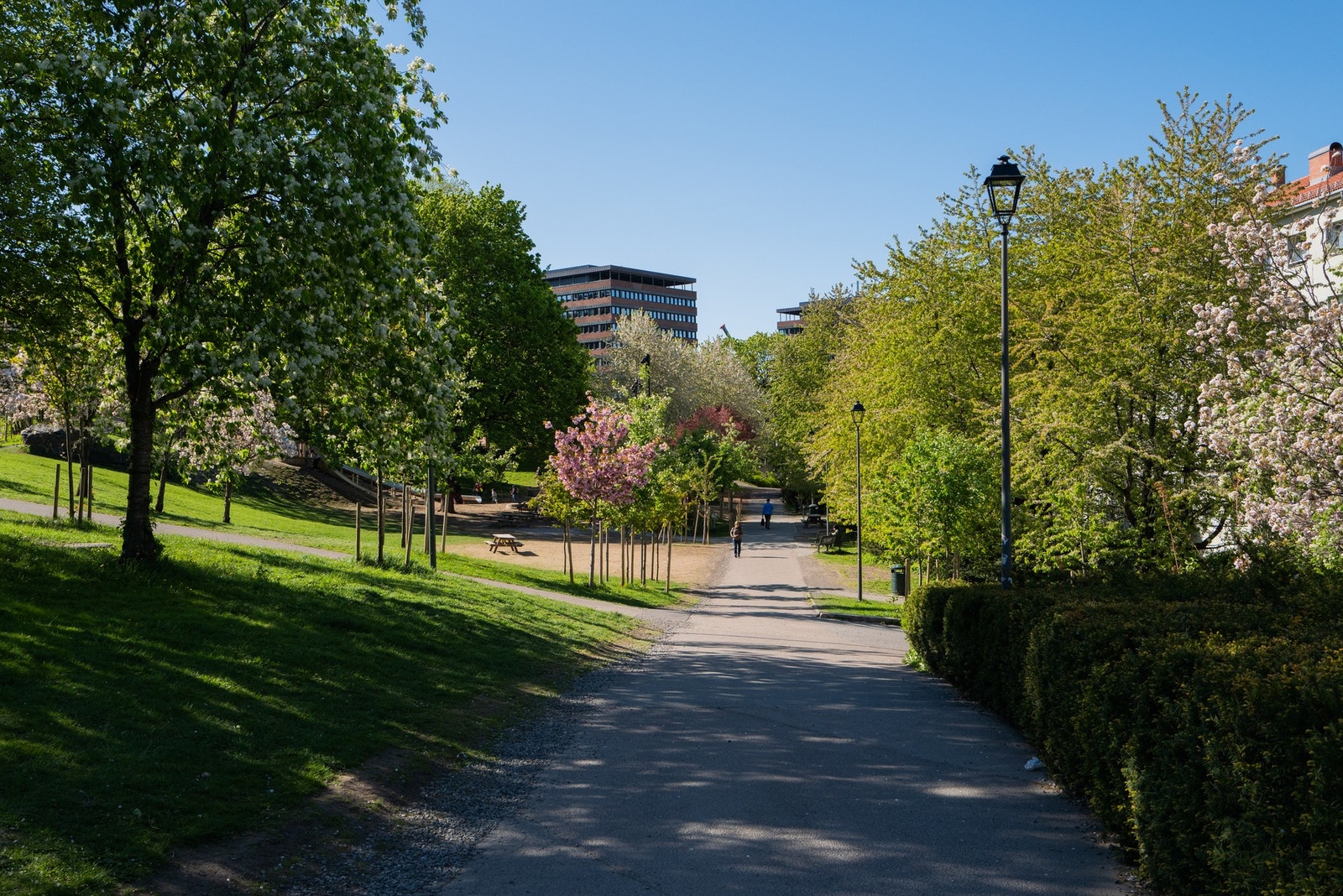 Kirsebærlunden - I bakgrunnen ser vi lekeplassen med Norges lengste sklie på 72,5 meter! Galleribilde