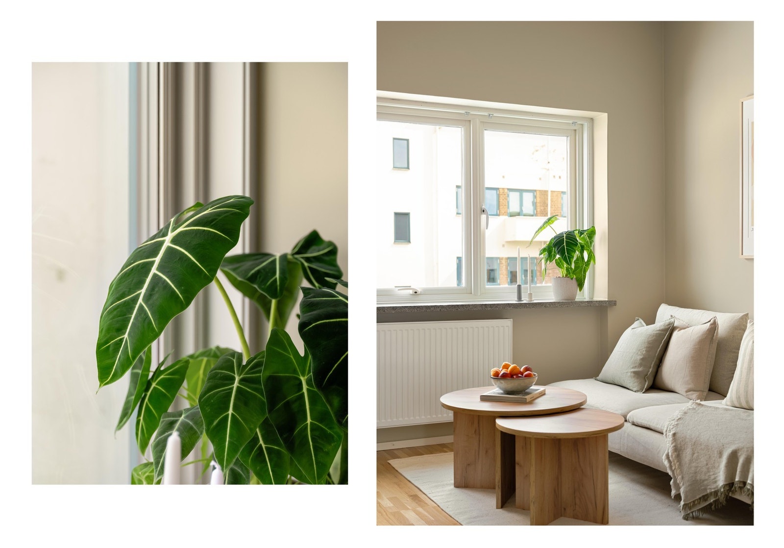 Fra stuevinduet er det flott utsikt mot den grønne og frodige bakgården til borettslaget, som du får se mer av senere. Galleribilde