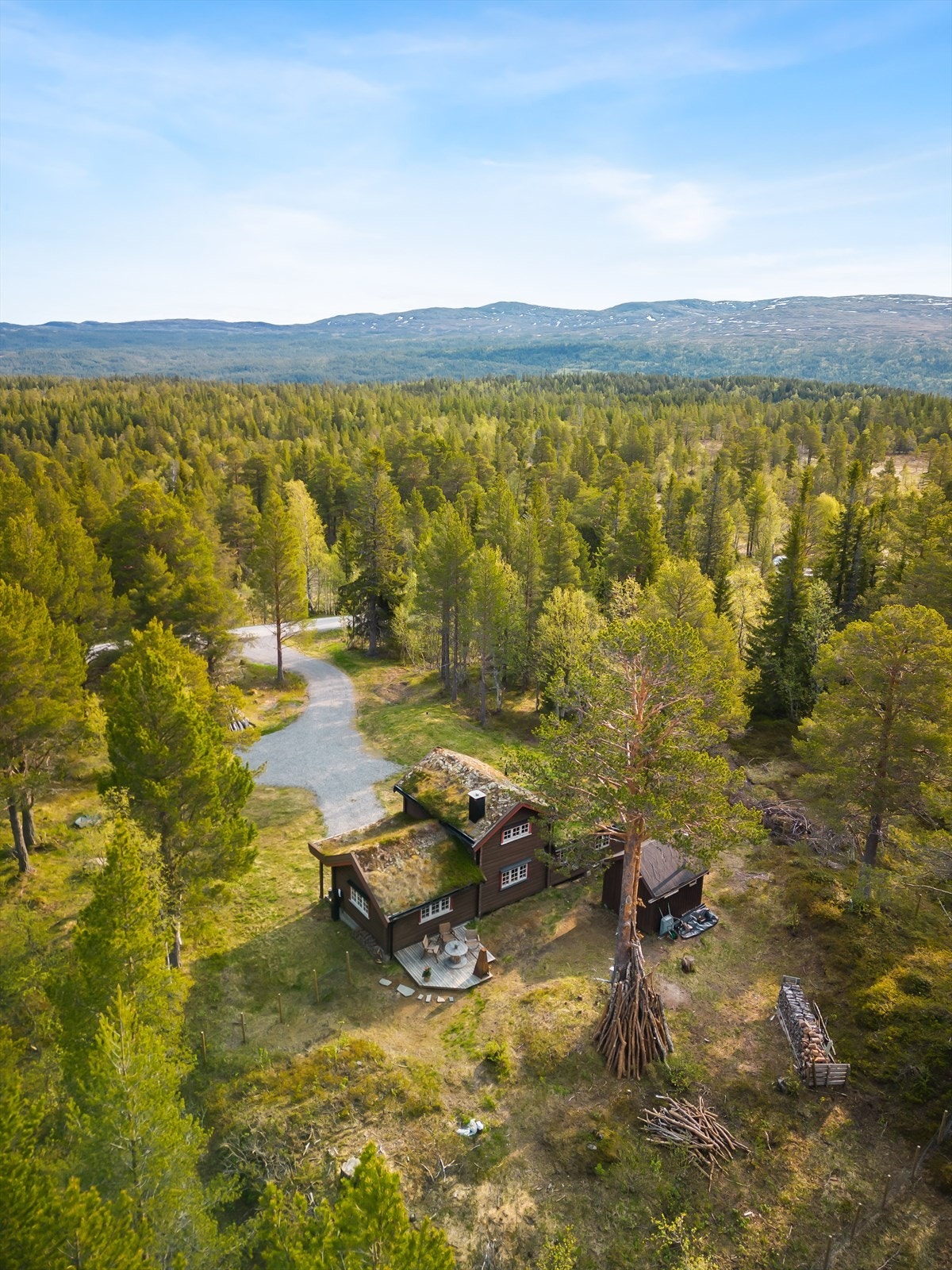 Luftig tomt på høydedrag med utsyn mot Endalen. Galleribilde