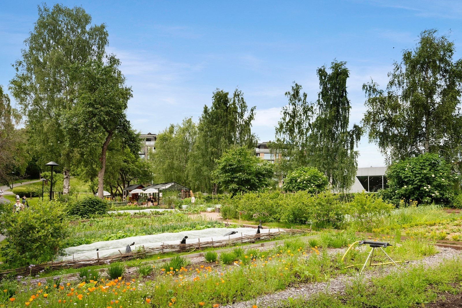 Fåbro gård er den eldste bygningen på Lilleaker og ligger idyllisk til i grønne omgivelser med blant epletrær, hylleblomst og bikuber Galleribilde