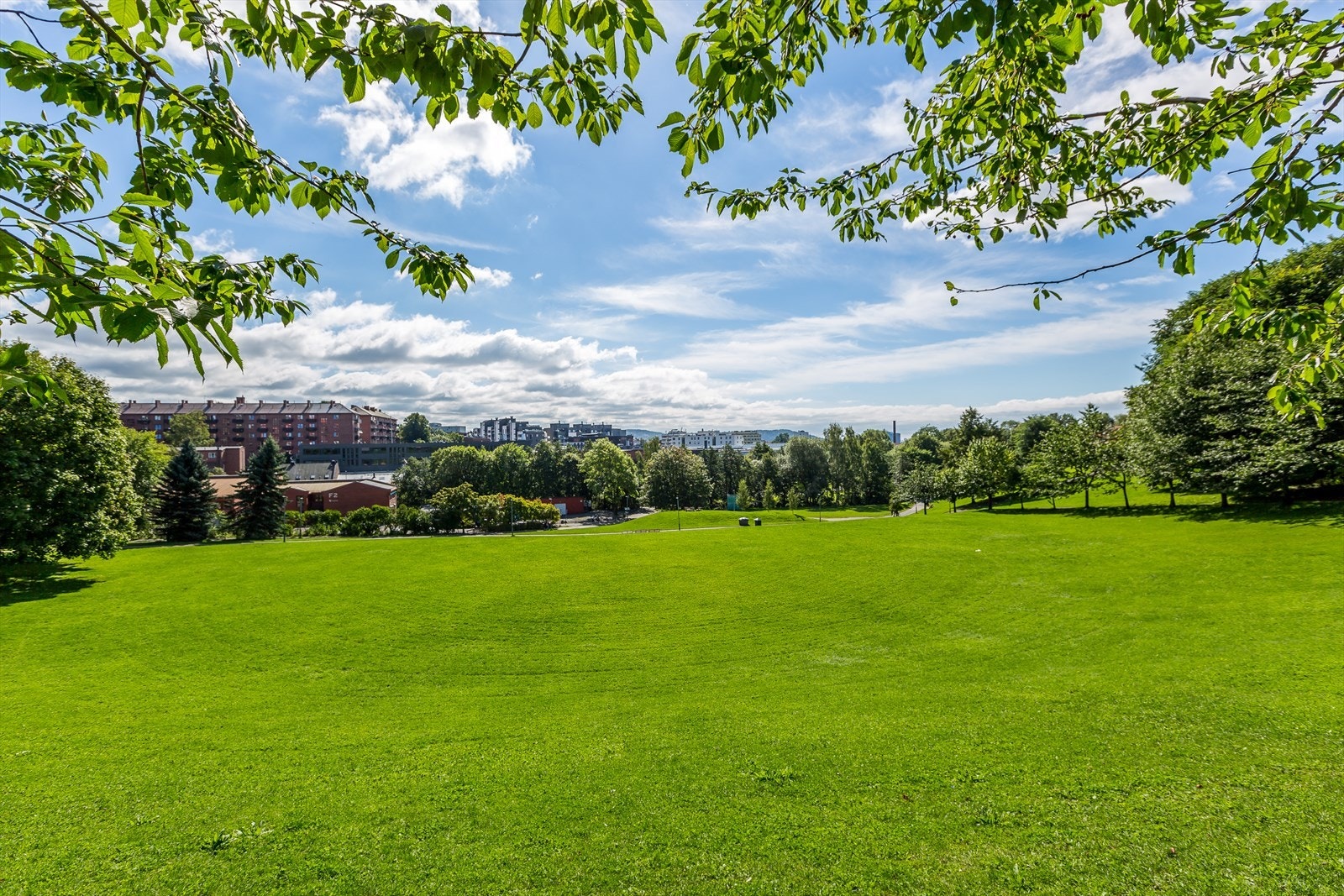 Myraløkka er et perfekt sted for søndagsturen og late sommerdager med piknik og soling. Galleribilde