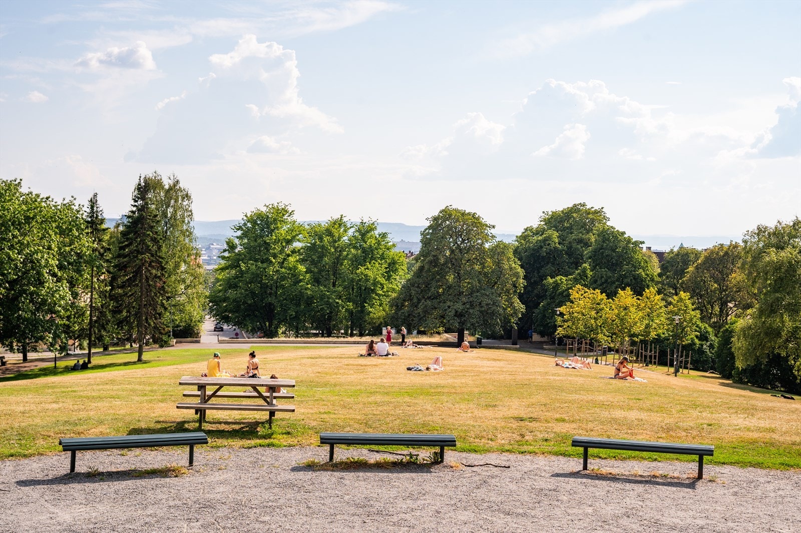 Det er flere parker i området, som blant annet Torshovparken. Galleribilde