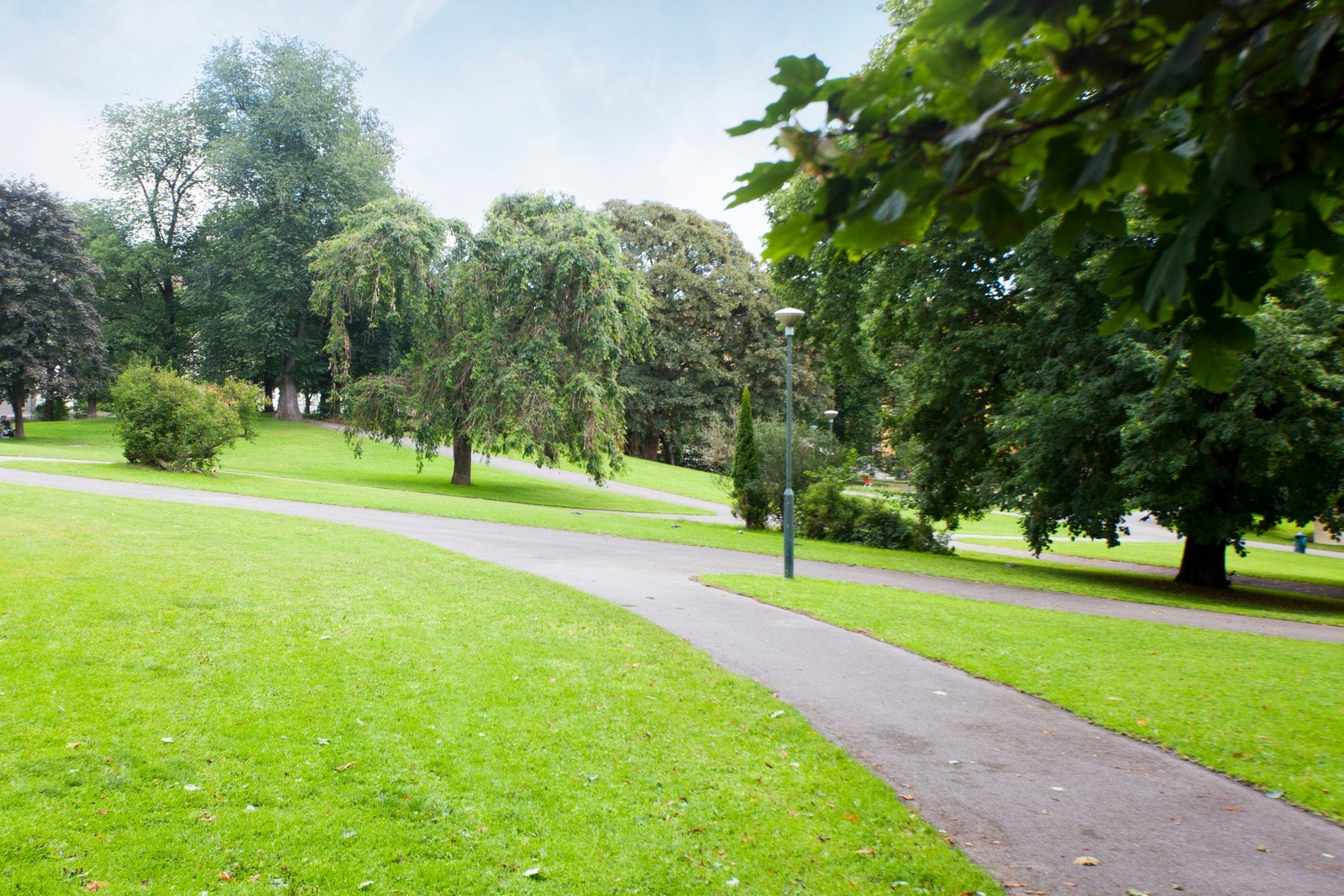 Flere parker i nærområdet. Galleribilde