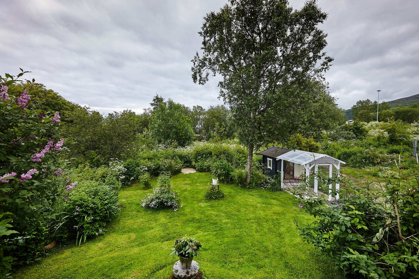 Pen opparbeide plen med busker Galleribilde