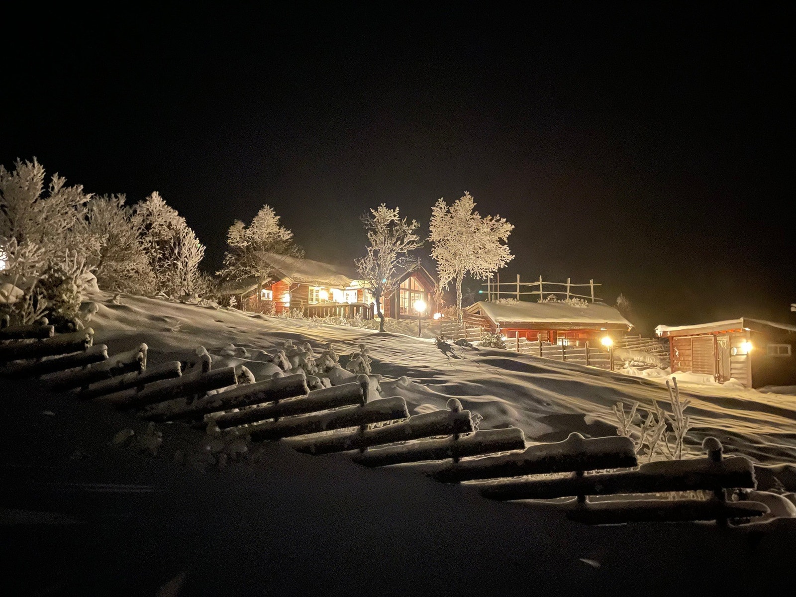 Julaften 2020. Galleribilde