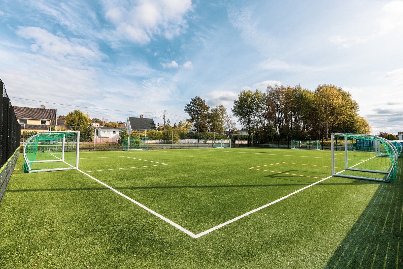 Nærområdet. Galleribilde