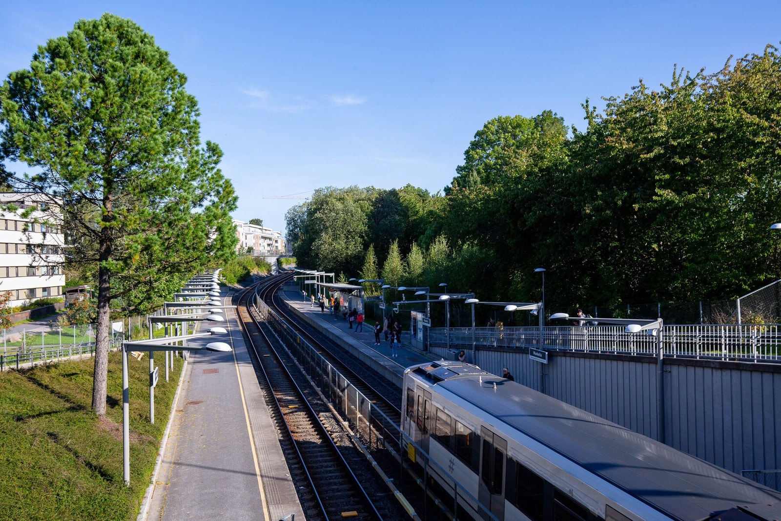 Nærområdet. Galleribilde