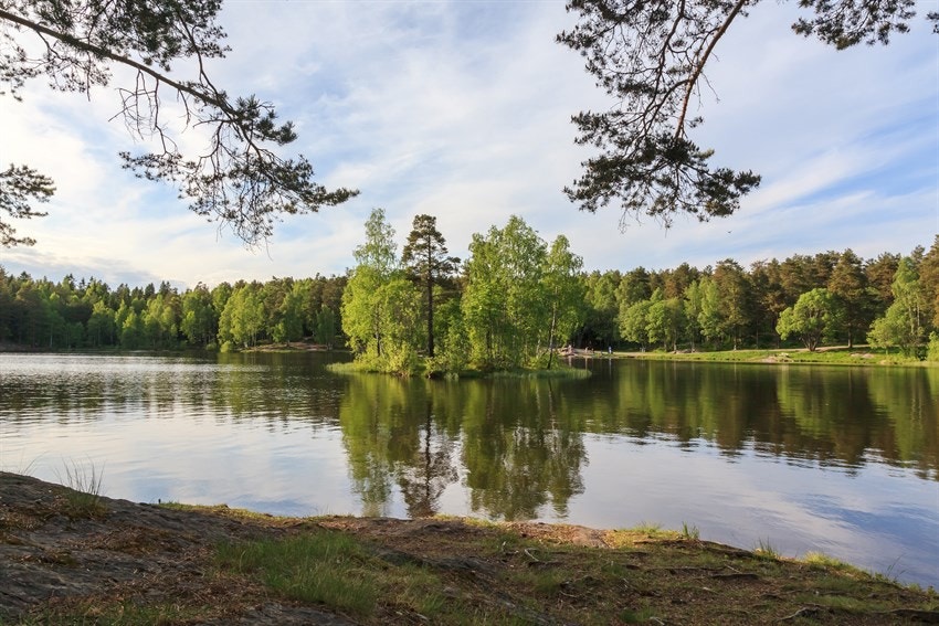 Kun en kort tur unna finner du fantastisk Lillomarka som har alt du trenger for turer både på sommer og vinterstid. Her fra populære Vesletjern. Galleribilde