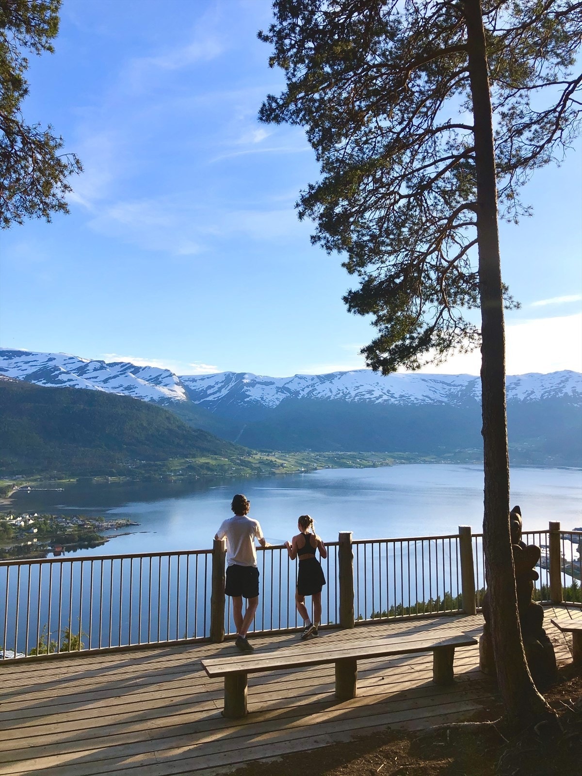 ... og turterreng. Galleribilde