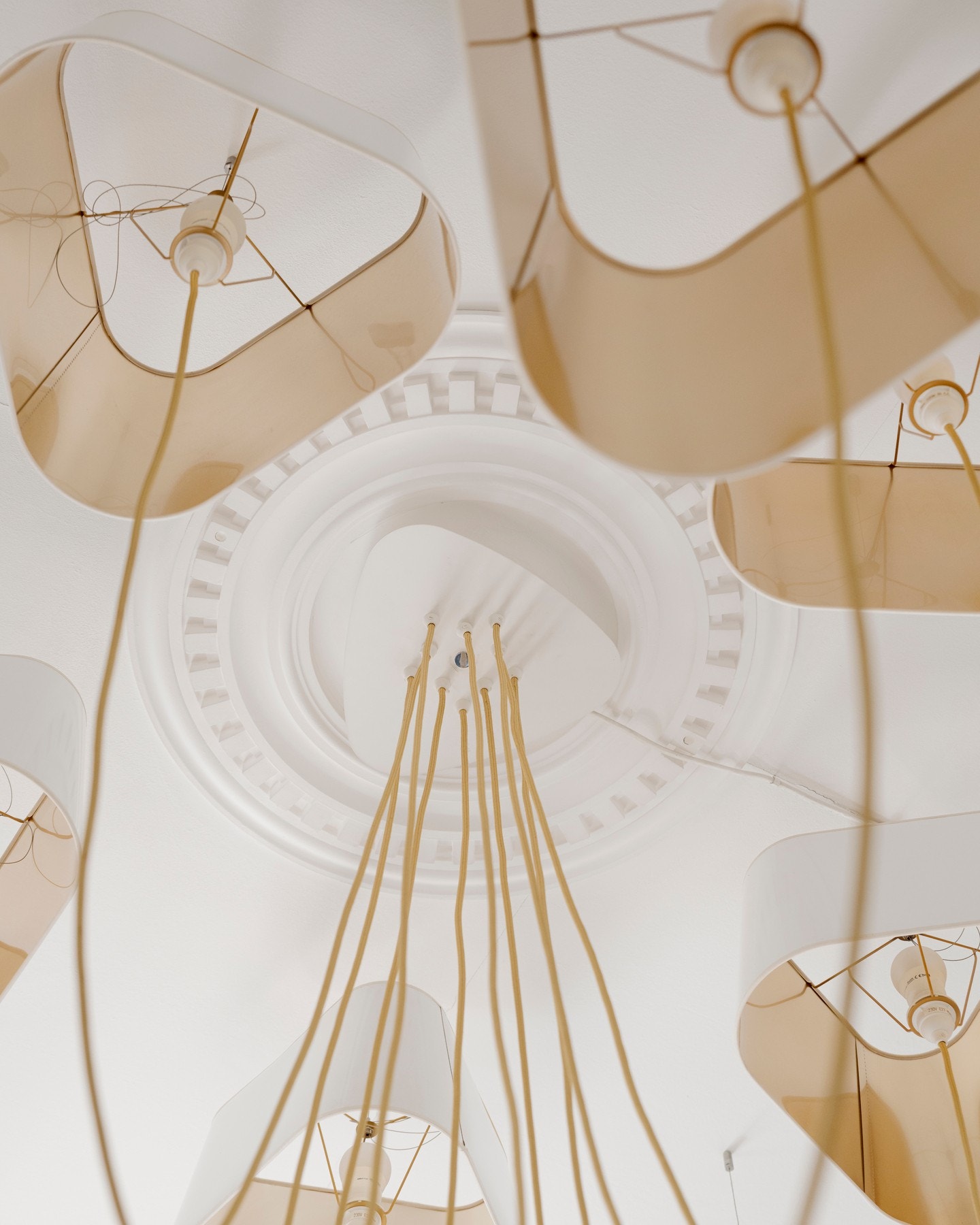 Klassiske detaljer som stukkatur og rosett. Galleribilde