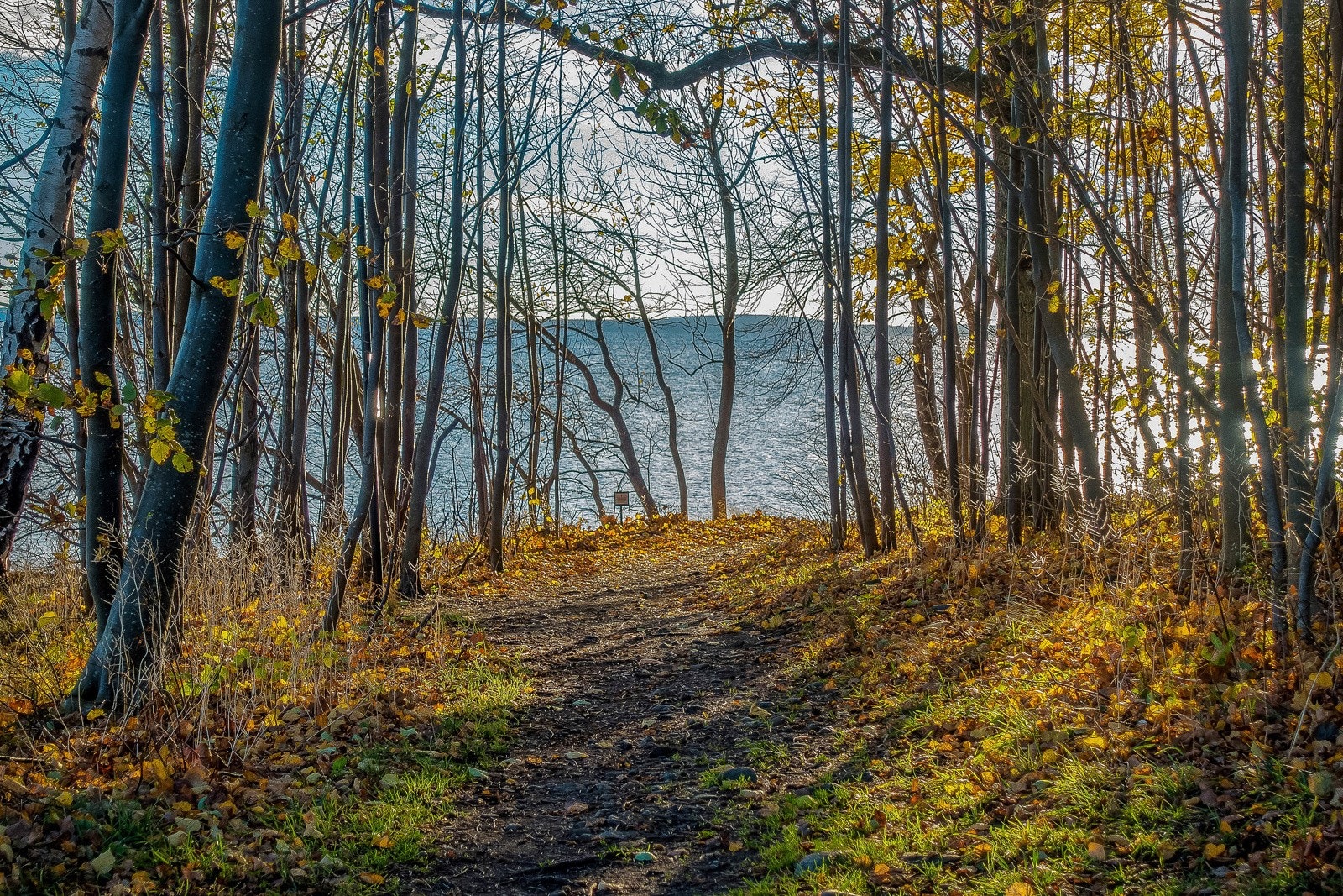 Hortenskogen er et meget populært turområde. Galleribilde
