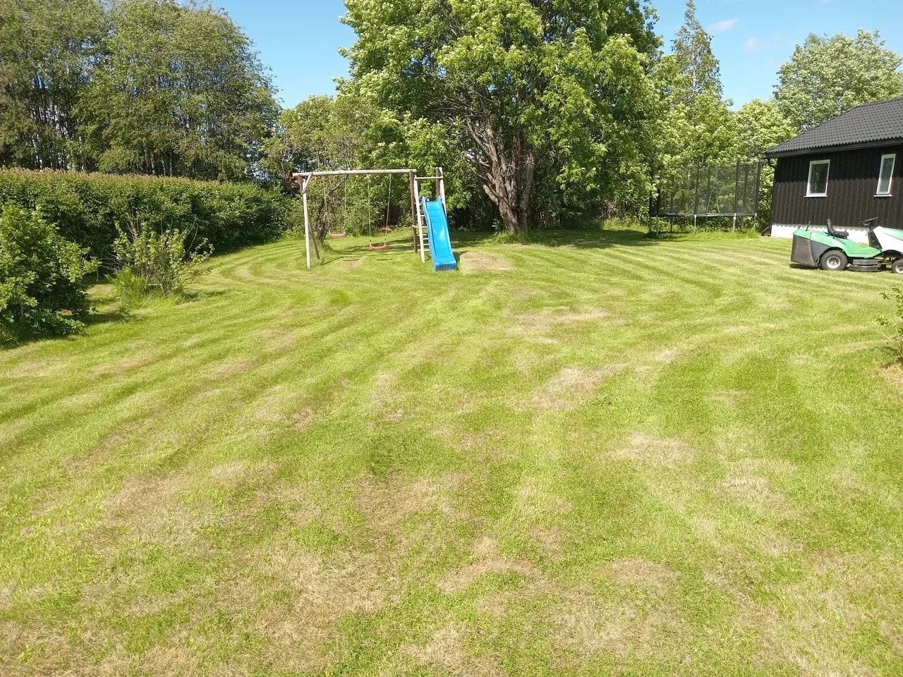 Stor og romslig hage med trær og busker. Galleribilde
