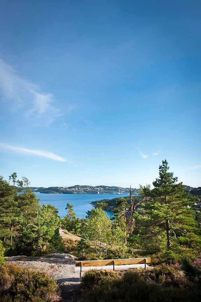 Fra nærområdet med nydelig natur Galleribilde