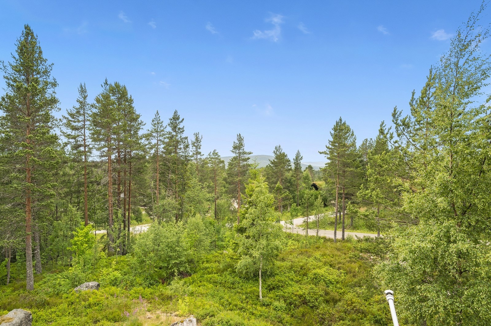 Plasseringen gir fint utsyn over det naturskjønne landskapet. Galleribilde