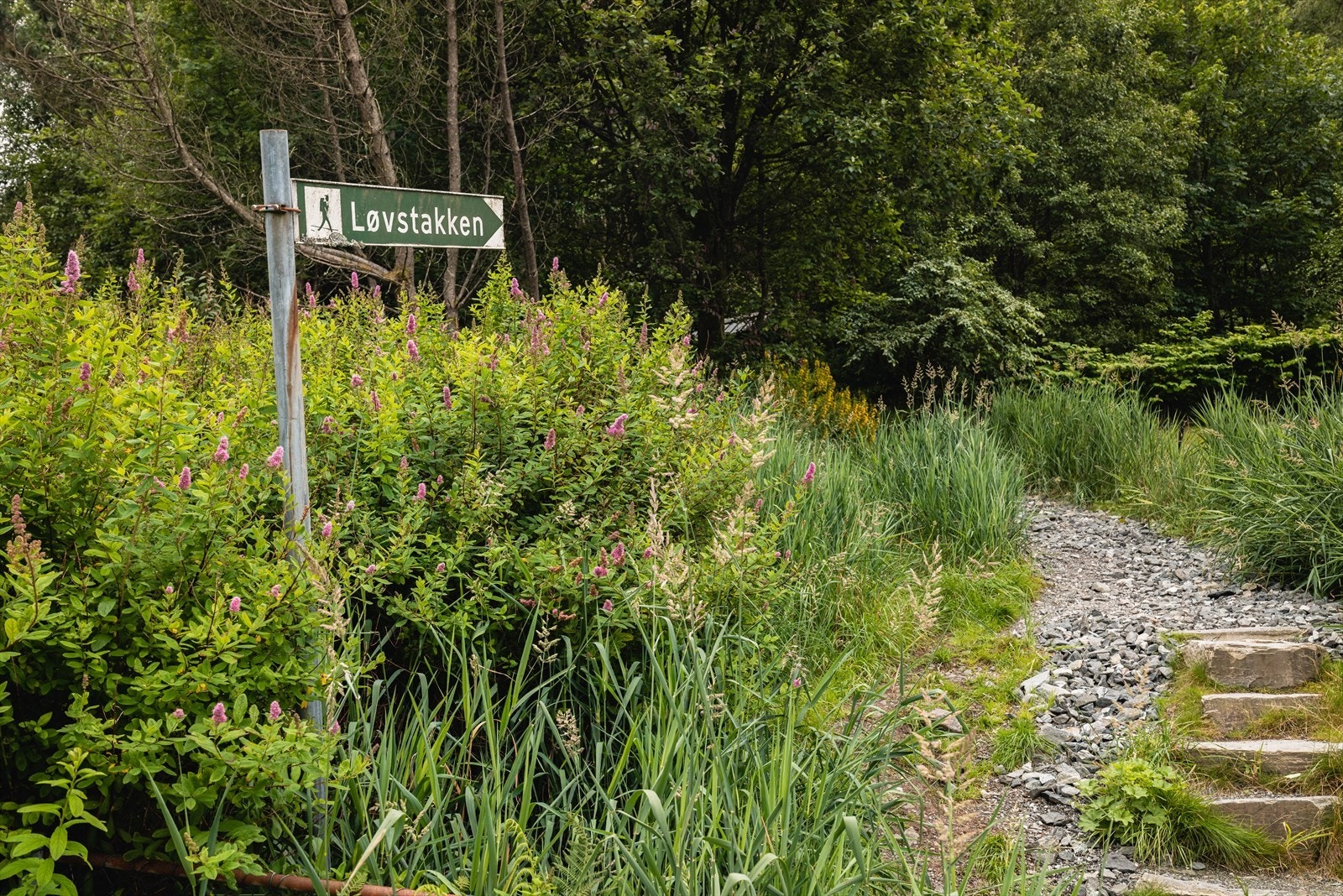 - Området byr på flotte turmuligheter, og Løvstakken er ett av de syv fjellene som omkranser Bergen - Galleribilde