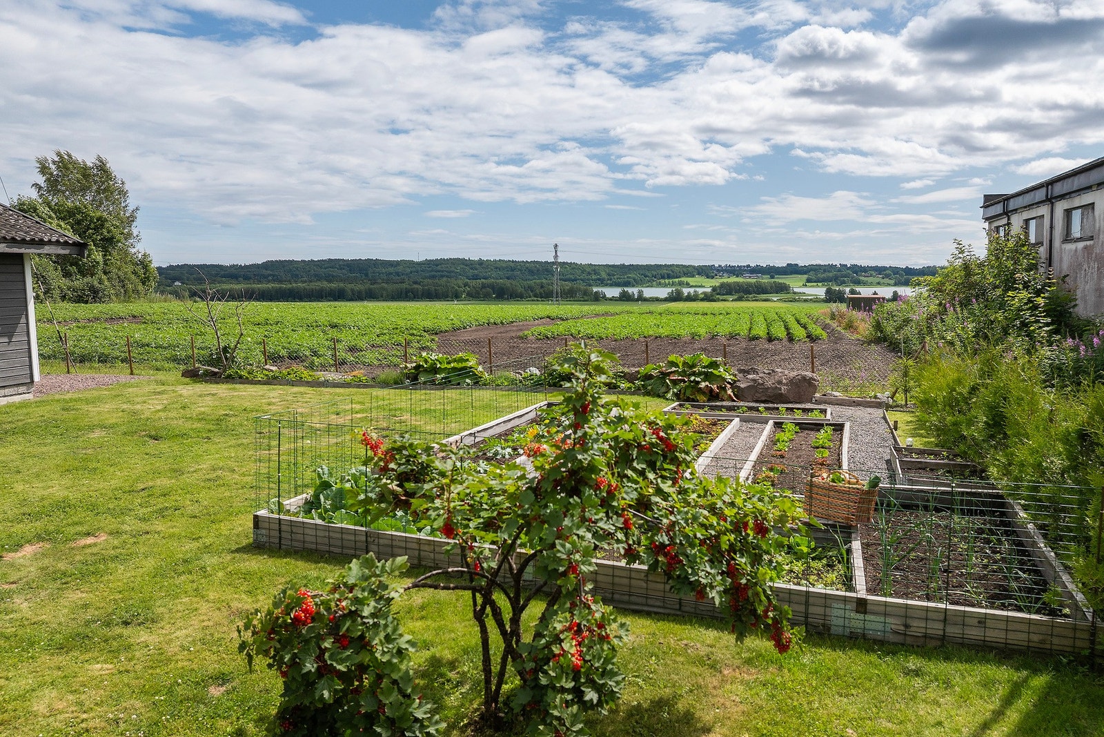 Perfekt hage for deg med grønne fingre! Galleribilde