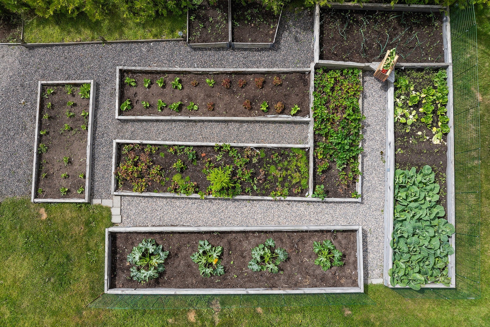 Her ligger alt til rette for å dyrke egne grønnsaker gjennom sesongen. Galleribilde