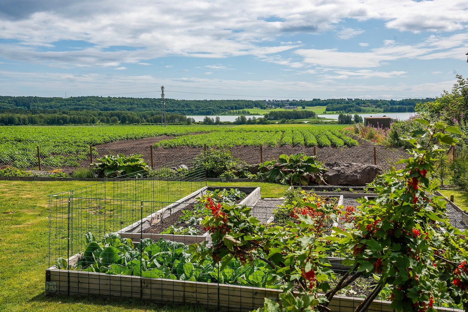 Egen kjøkkenhage med grønnsaker og urter - med en fantastisk utsikt over jordene og vannet. Galleribilde