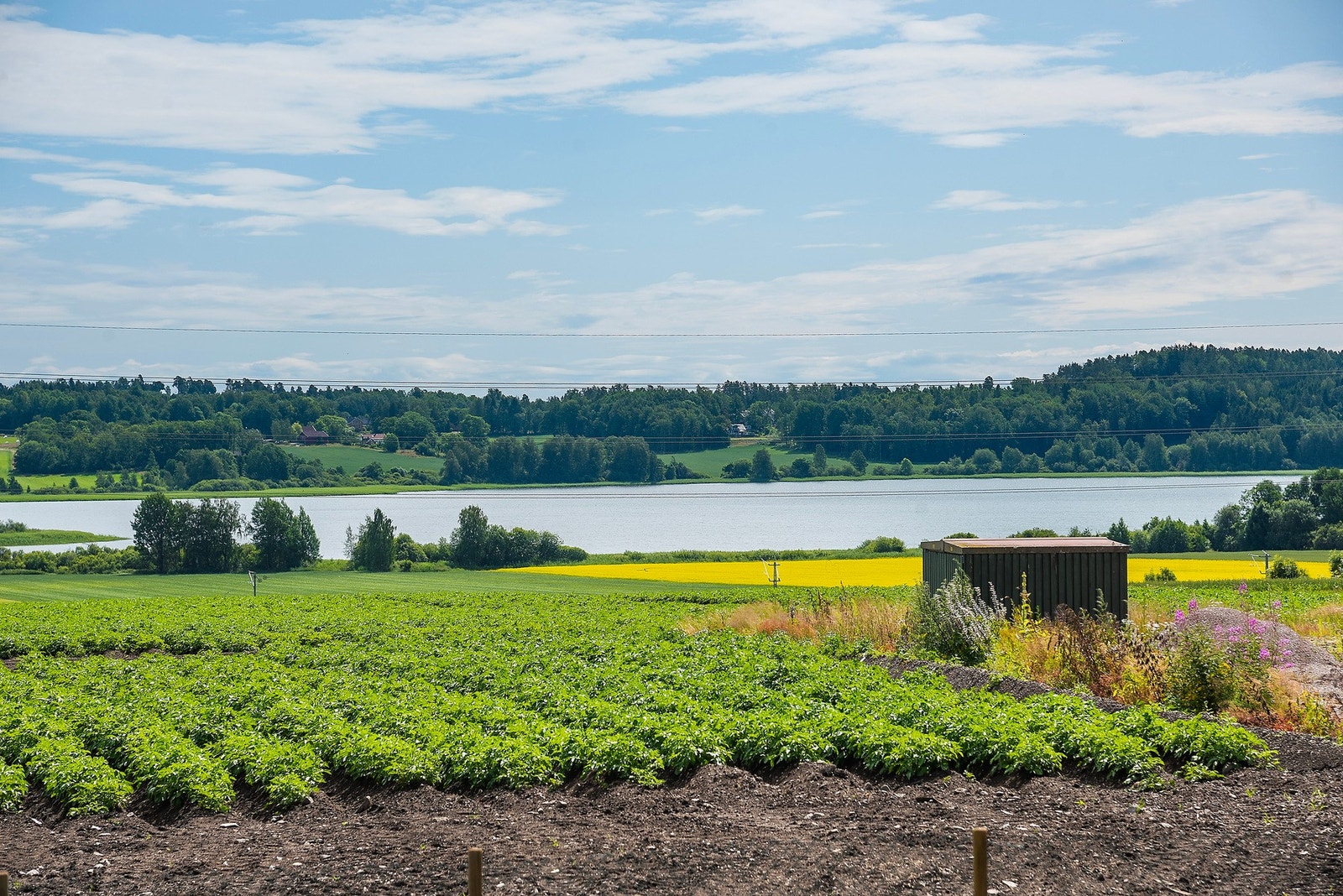 Akersvannet Galleribilde