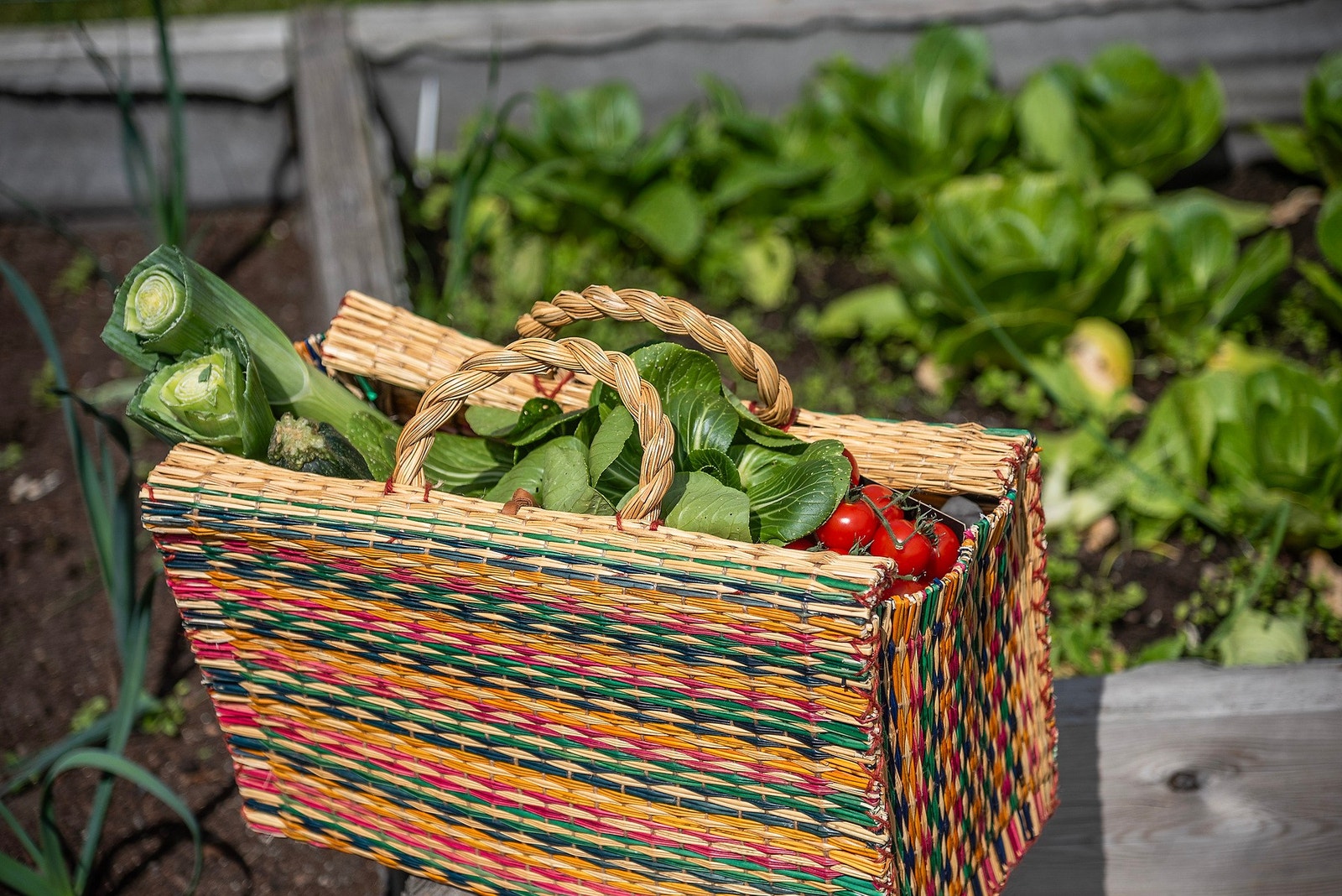 Detaljer. Galleribilde