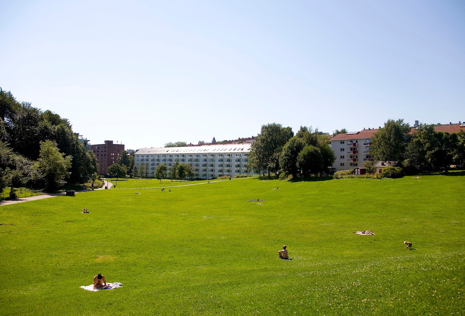 Nærområde - Iladalen. Galleribilde