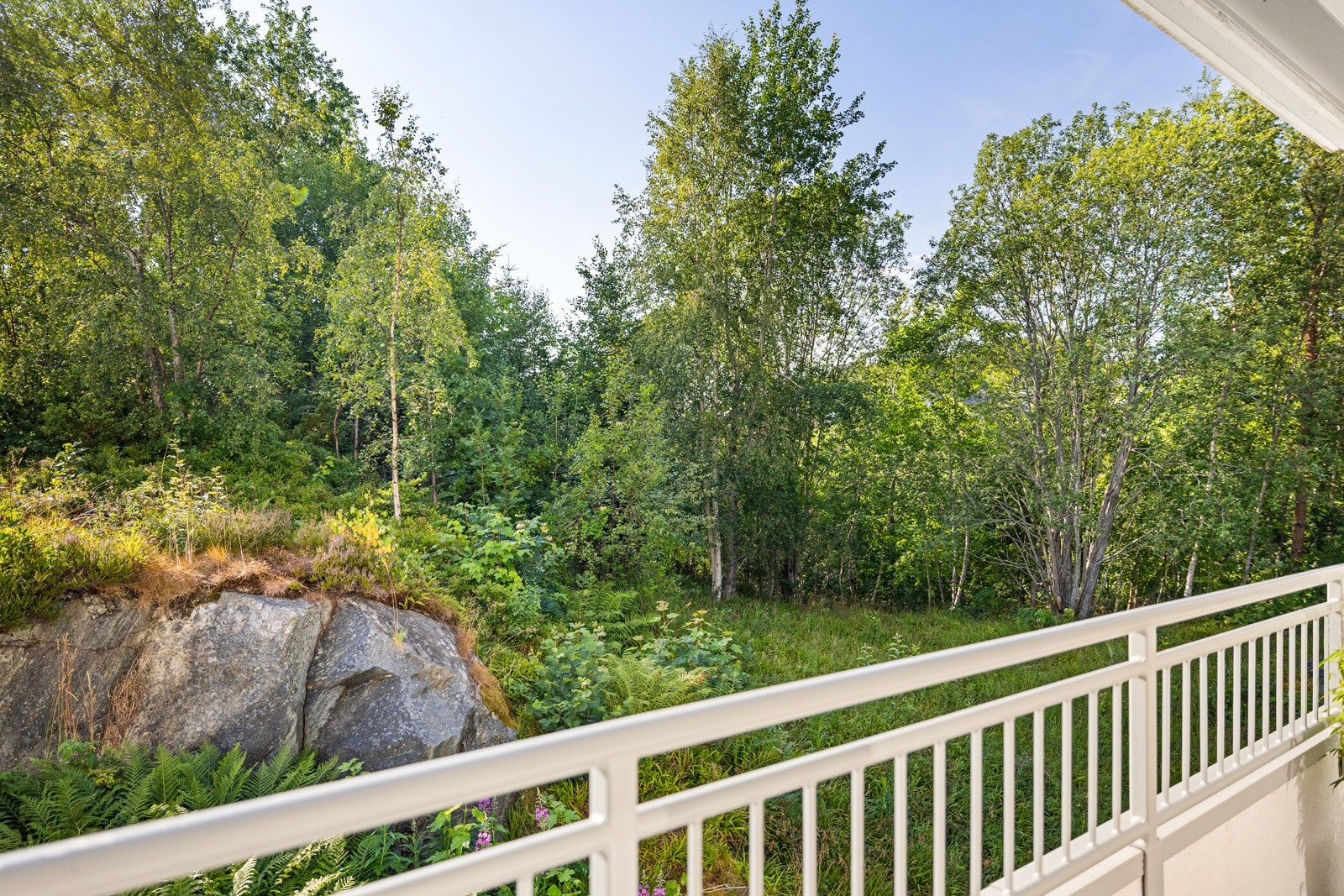 Utsikt mot nordvest fra terrassen. Galleribilde