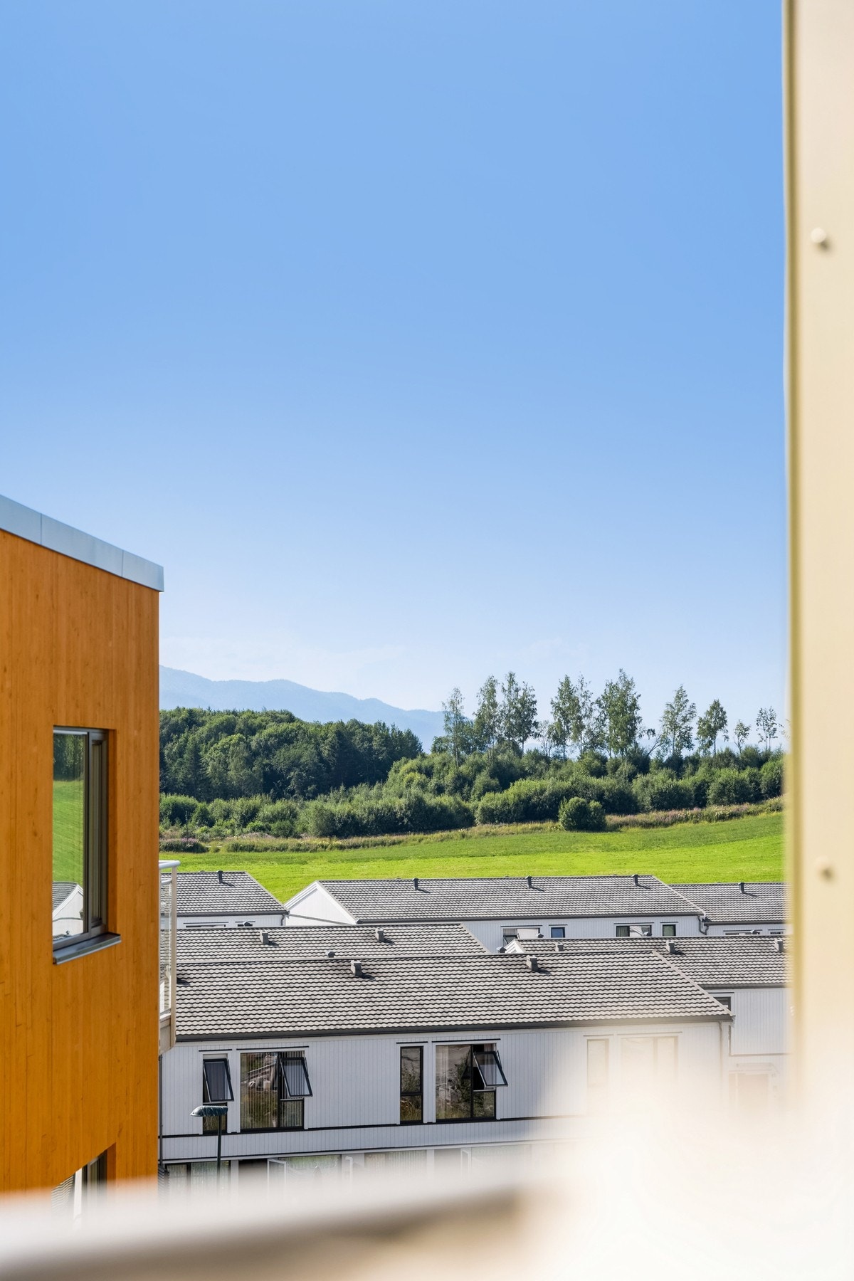 Utsikt. Galleribilde